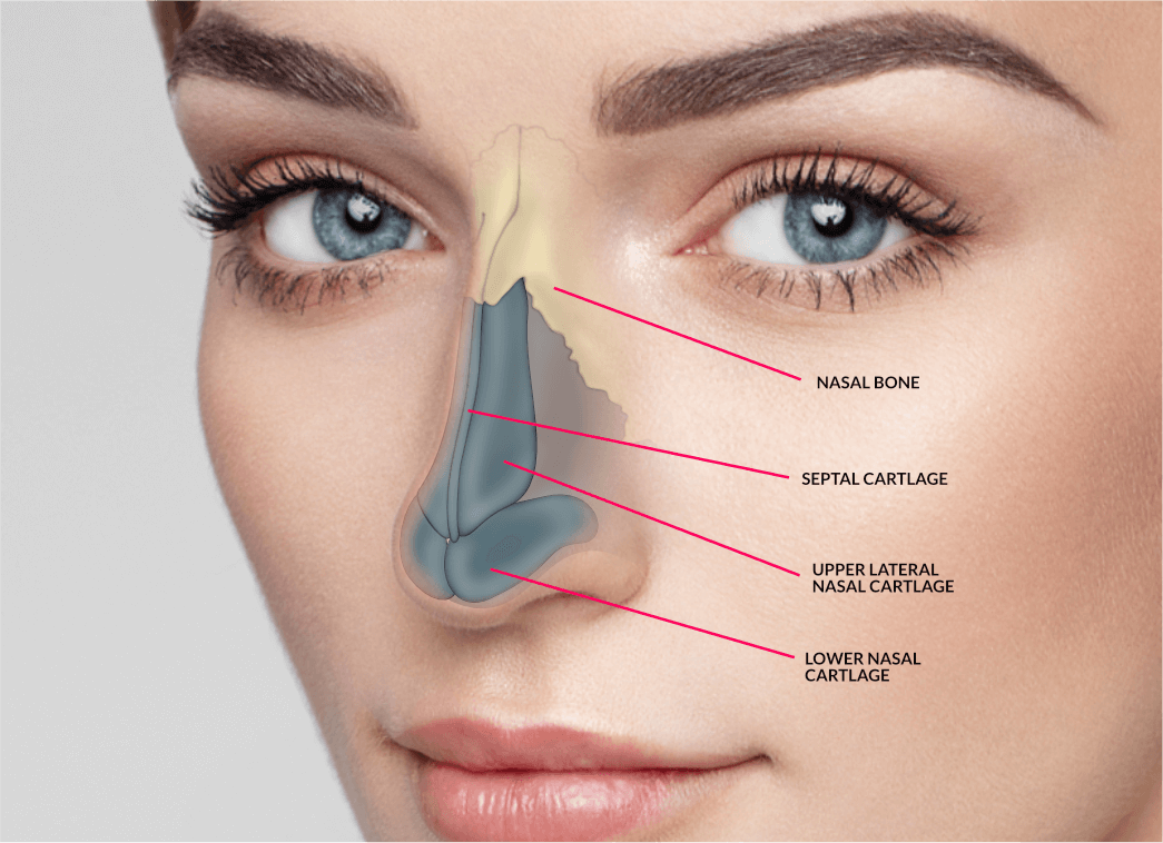 Nose Surgery 1 best rhinoplasty surgery in mumbai nose treatment at affordable price cost india - Nose Surgery - Nose Specialist